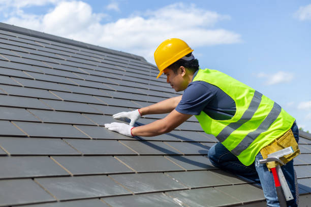 Best Roof Waterproofing Services  in Volo, IL
