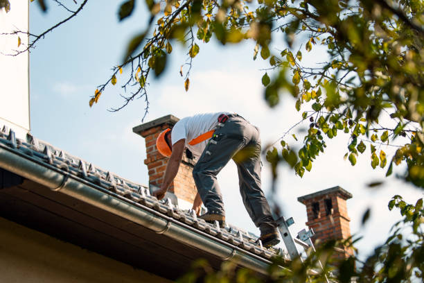 Best Residential Roofing Contractor  in Volo, IL
