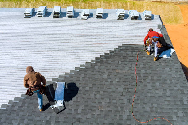 Roof Gutter Cleaning in Volo, IL