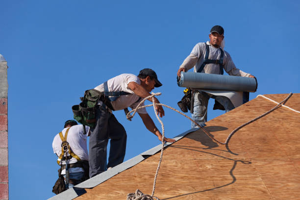 Best Commercial Roofing Services  in Volo, IL