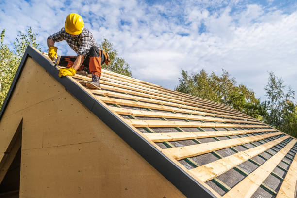 Best Flat Roof Repair Services  in Volo, IL