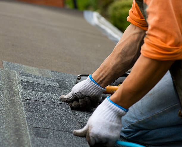 Best Roof Gutter Cleaning  in Volo, IL