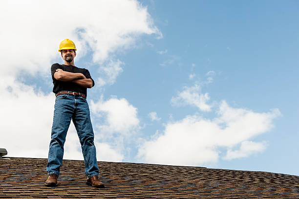 Trusted Volo, IL Roofing Contractor Experts