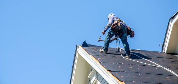 Best Commercial Roofing Services  in Volo, IL